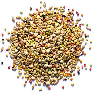 ZuPreem Sensible Seed for Birds - Budpants