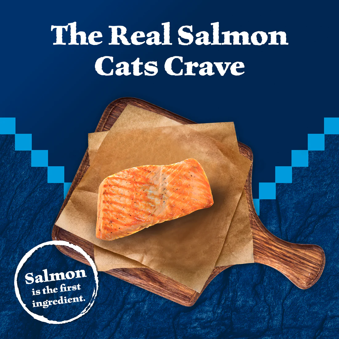 BLUE WILDERNESS CAT-SALMON - Budpants