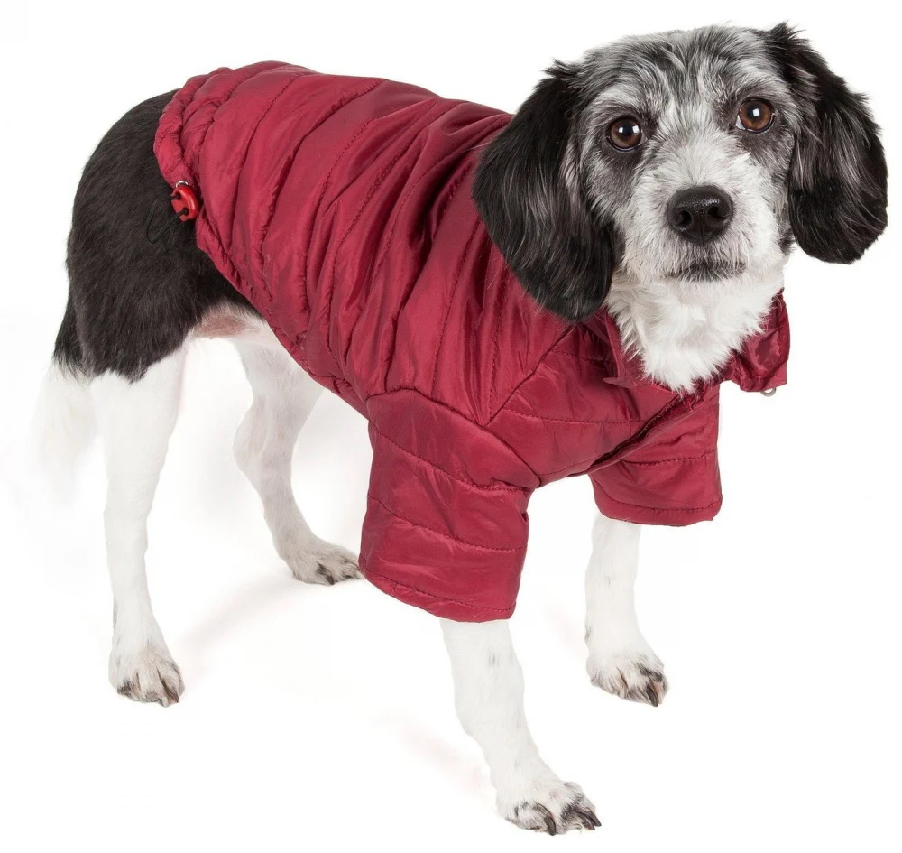 Pet Life Adjustable Burgundy Red Sporty Avalanche Dog Coat with Pop Out Zippered Hood - Budpants