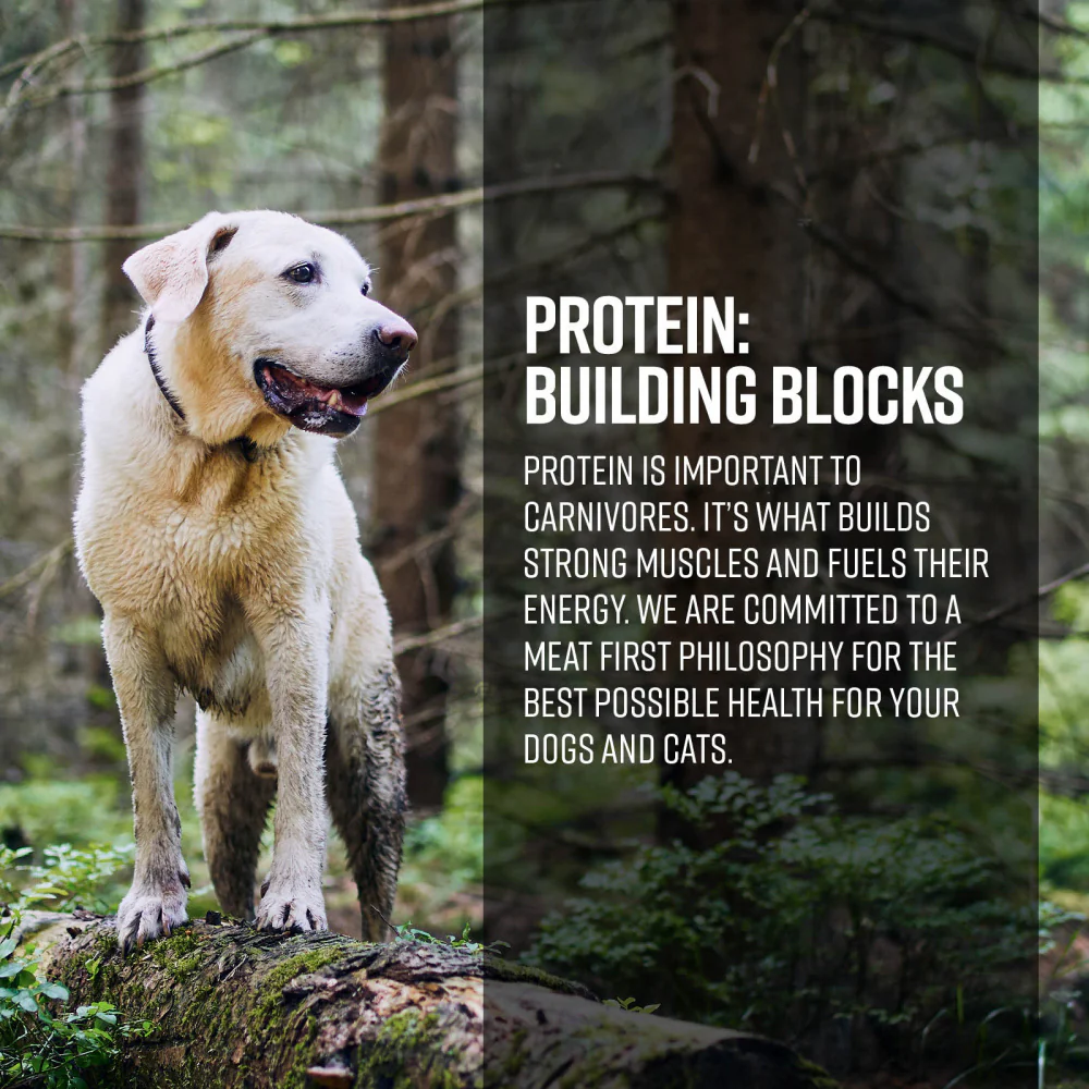 Essence Grain Free Ranch & Meadow Recipe Dry Dog Food - Budpants