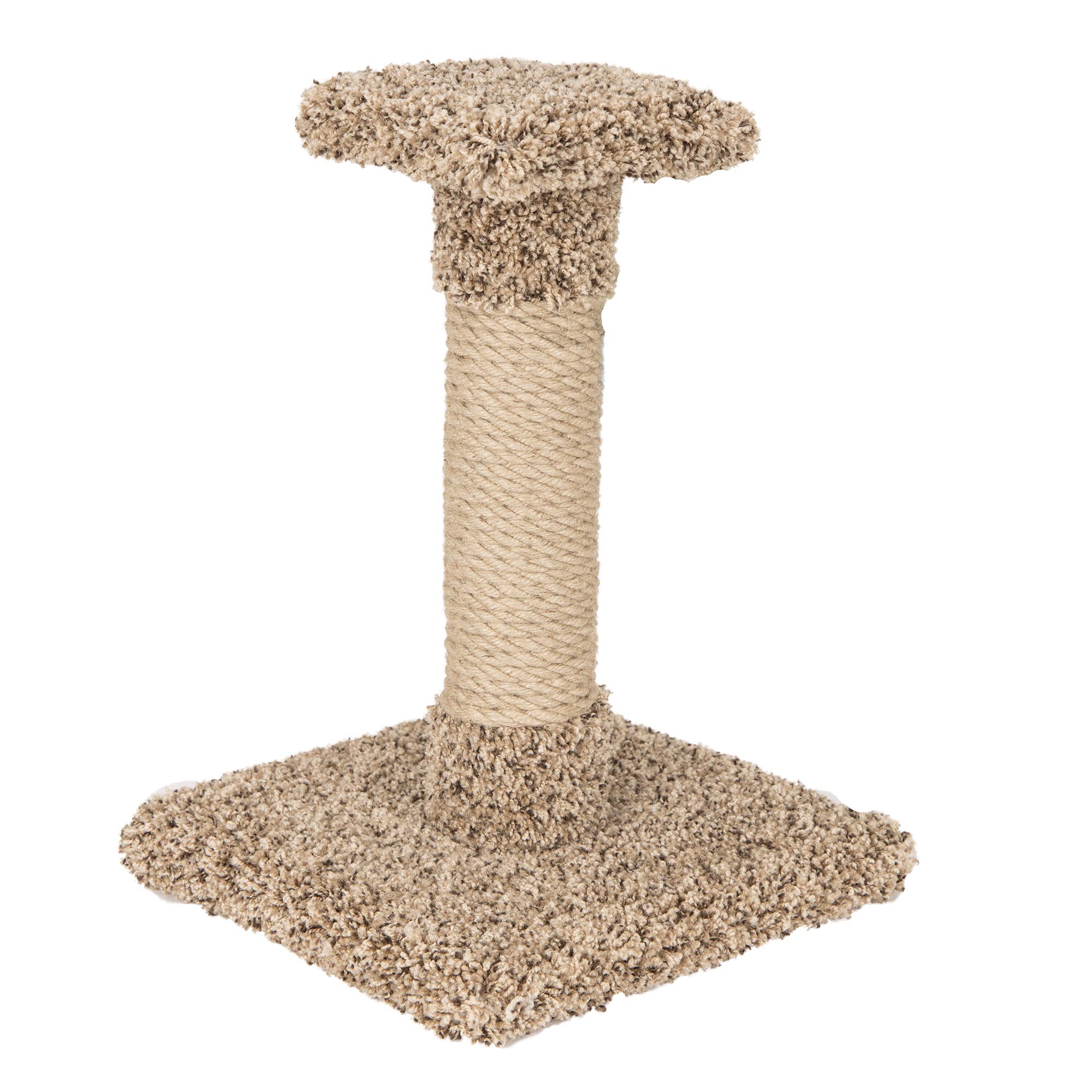 WARE KITTY CACTUS W/ROPE 18