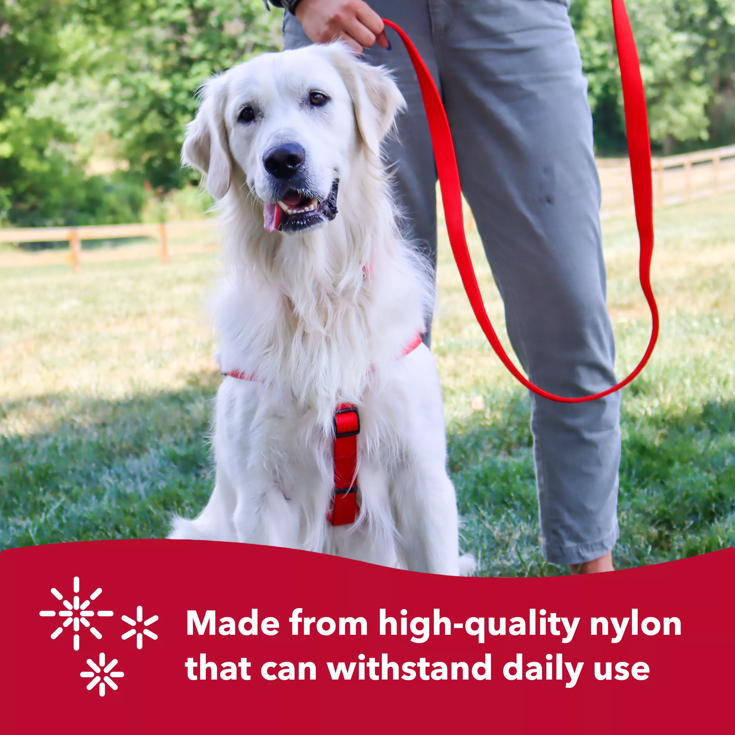 Coastal 1in Double Ply 6ft Dog lead - Budpants