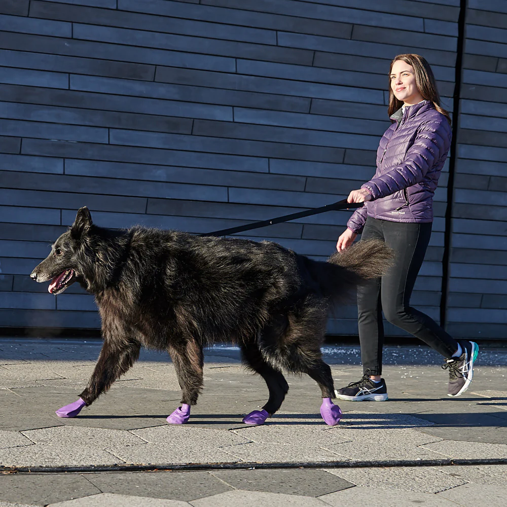 Pawz Waterproof Dog Boots - Budpants