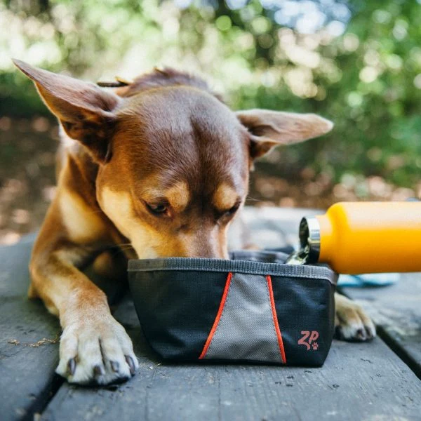 ZippyPaws Adventure Bowl For Dogs - Budpants