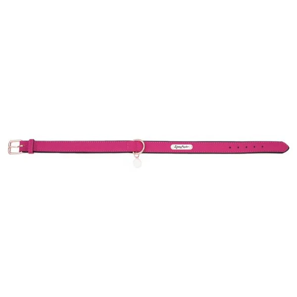 ZippyPaws Vivid Collection Magenta Dog Collar - Budpants