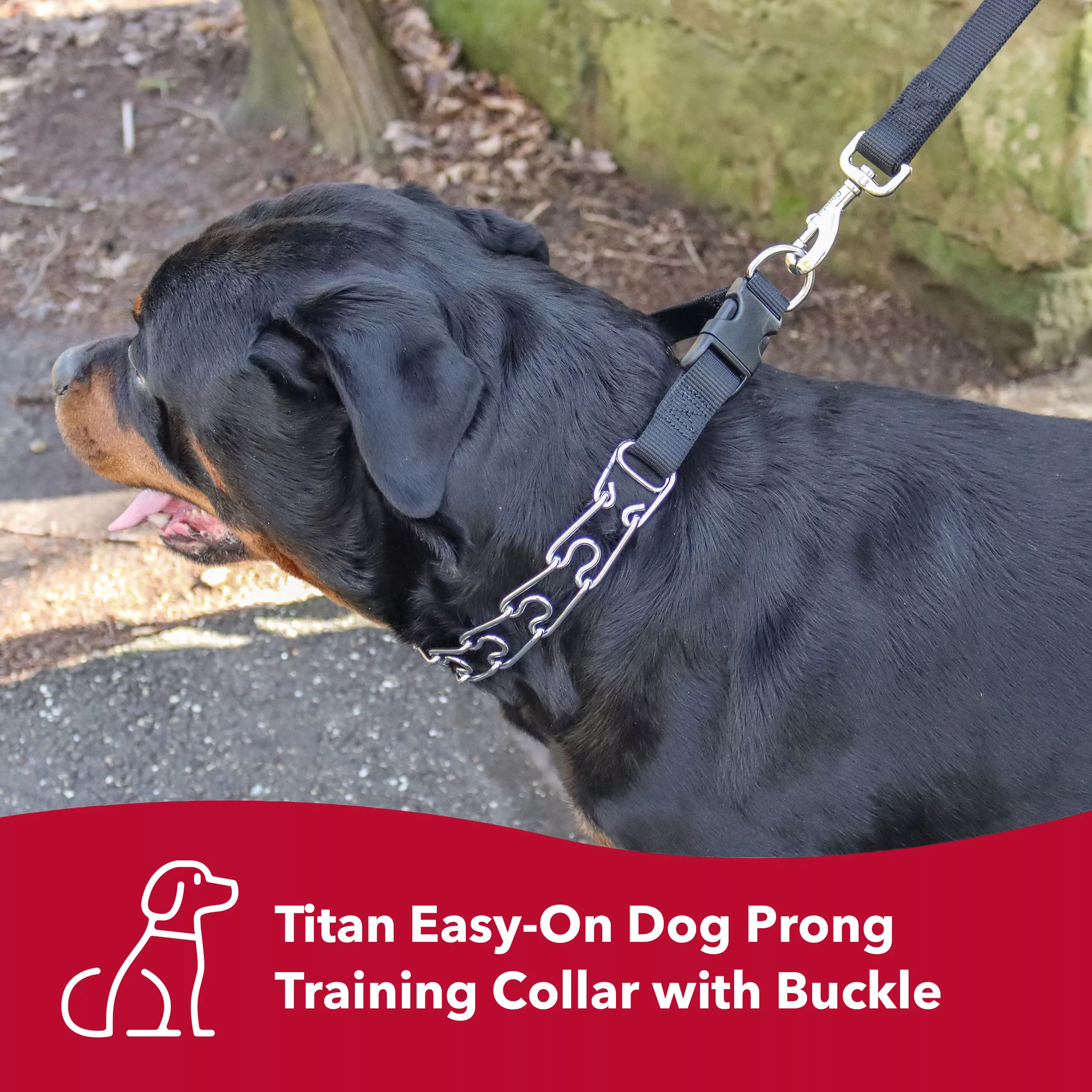 COASTAL Nylon Pinch Collar for dogs - Budpants
