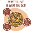 Weruva Wok the Dog with Chicken, Beef & Pumpkin in Gravy Grain-Free Canned Dog Food - Budpants