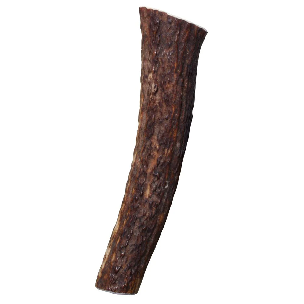 KONG Wild All-Natural Whole Elk Antler for Dogs - Budpants