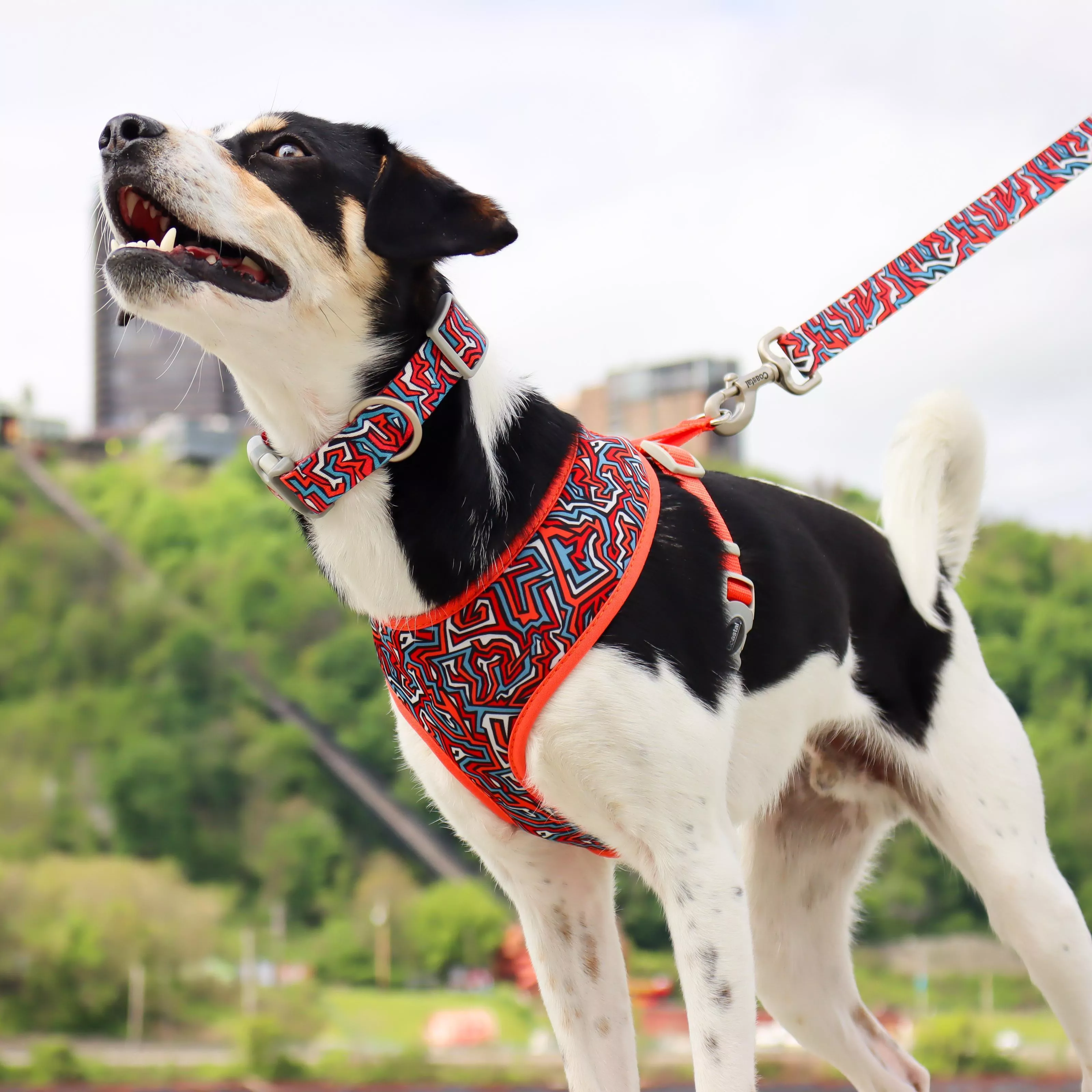 Coastal Sublime  Reversible Dog Harness - Budpants