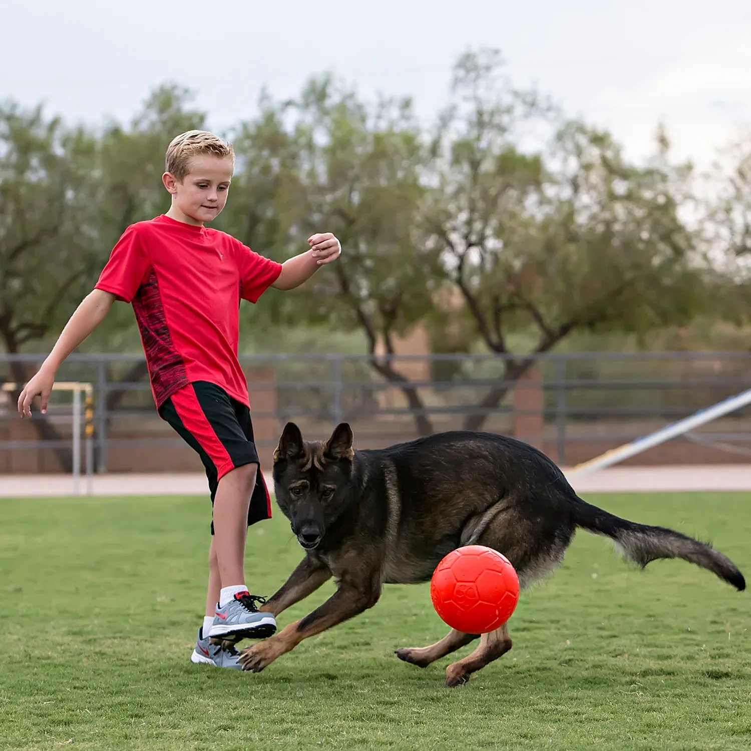 JOLLY BALL SOCCER BALL - Budpants