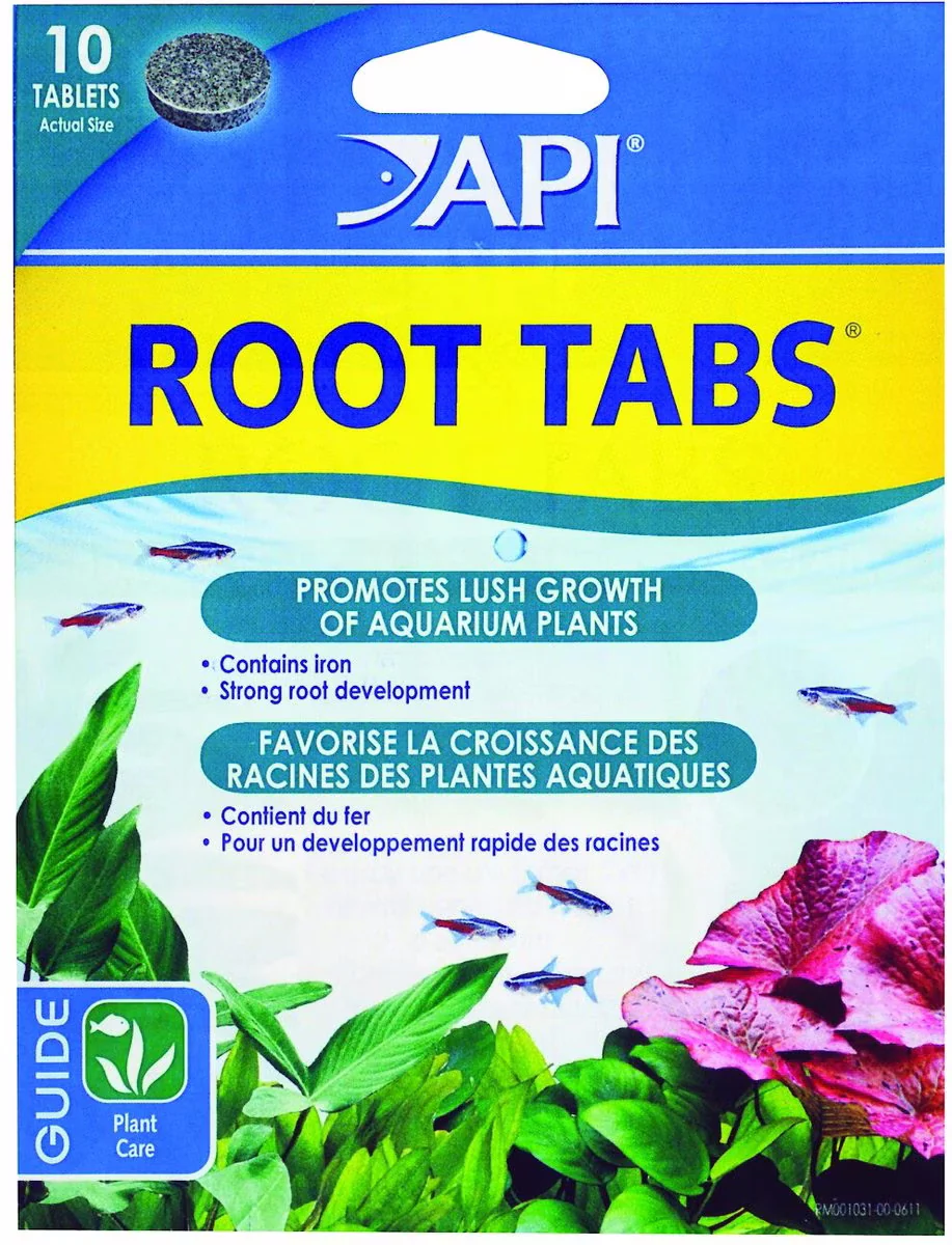 API ROOT TABS - 10 COUNT - Budpants