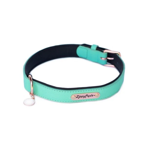 ZippyPaws Vivid Collection Teal Dog Collar - Budpants