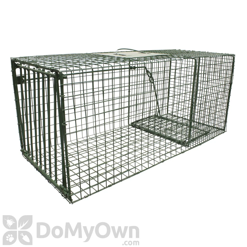 Duke Live Animal Cage Trap, Large 26inX12inX12in - Budpants
