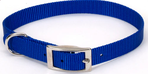Coastal Pet Products Standard Nylon 5/8in Dog Collars - Budpants