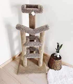 Nathan's Kitty Condos