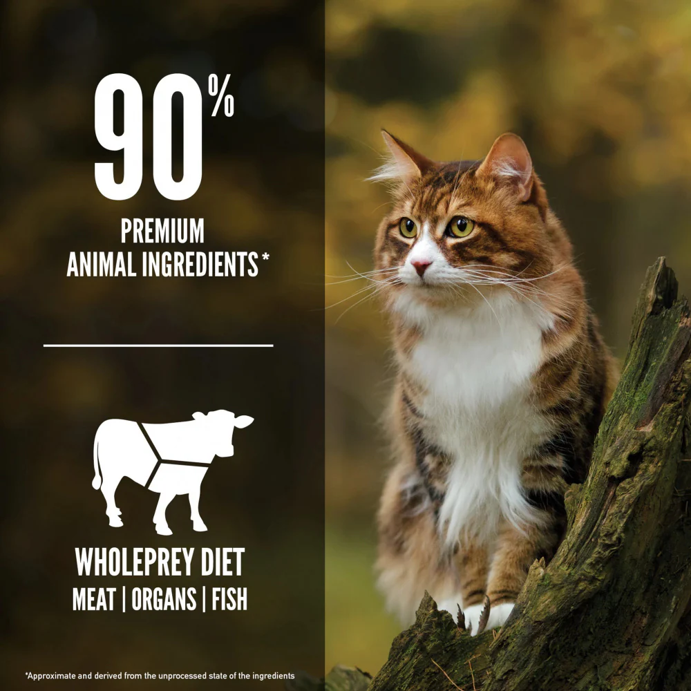ORIJEN Grain Free Regional Red Dry Cat Food - Budpants