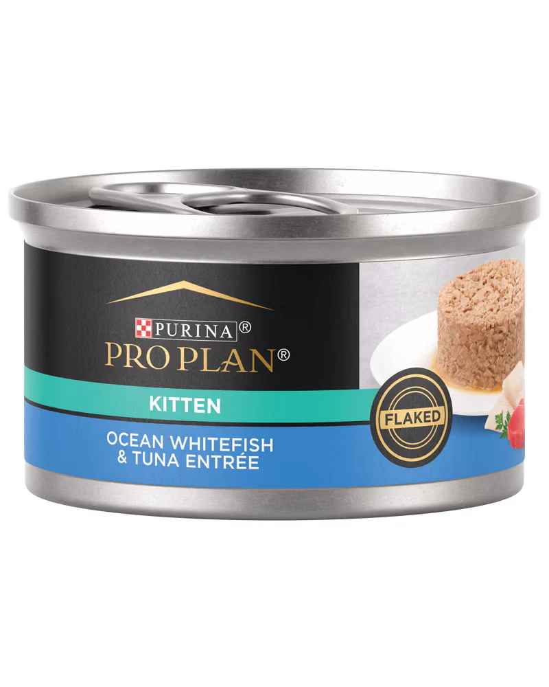 Pro Plan Kitten Ocean Whitefish & Tuna Entree'  Flaked Wet Cat Food - Budpants