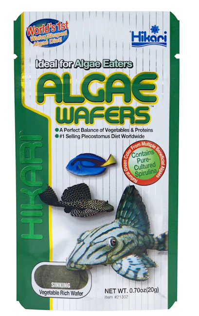 HIKARI ALGAE WAFERS - Budpants