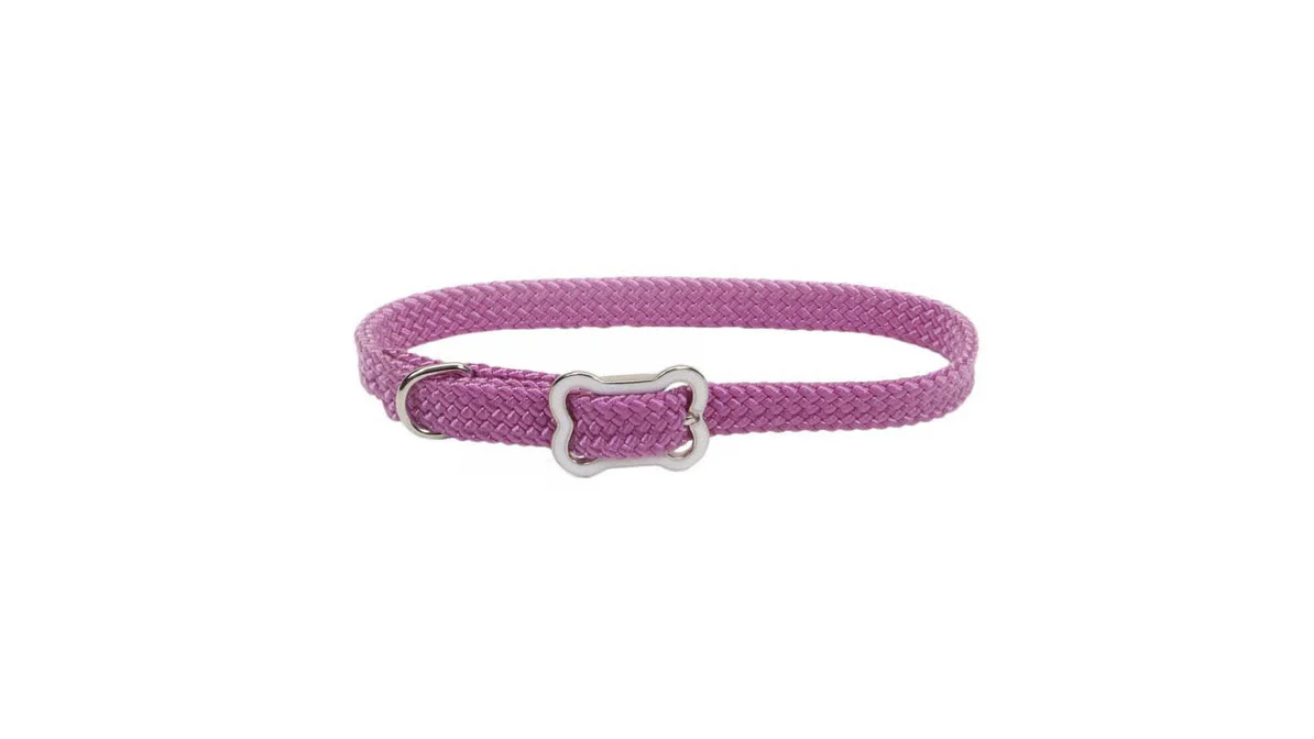 Coastal Sunburst Collar with Bone - Budpants