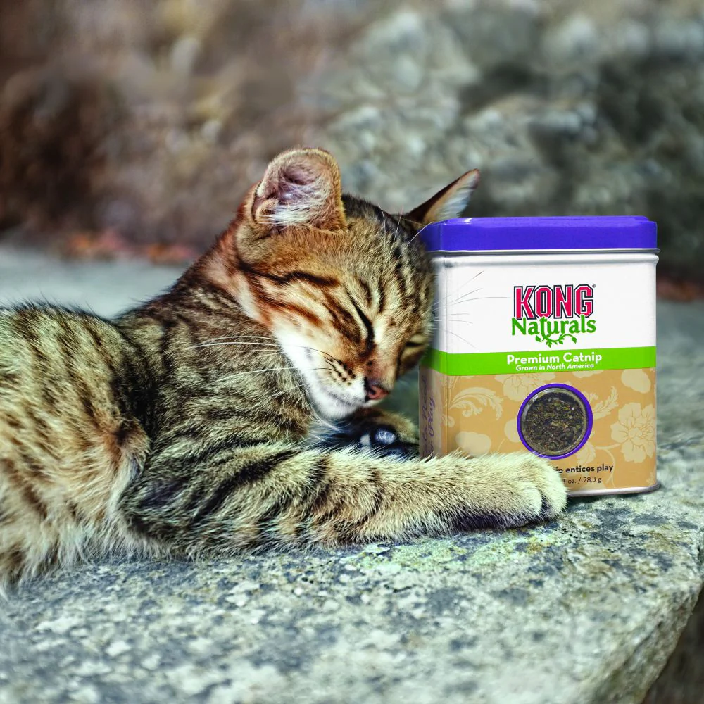 KONG Naturals Premium Catnip - Budpants