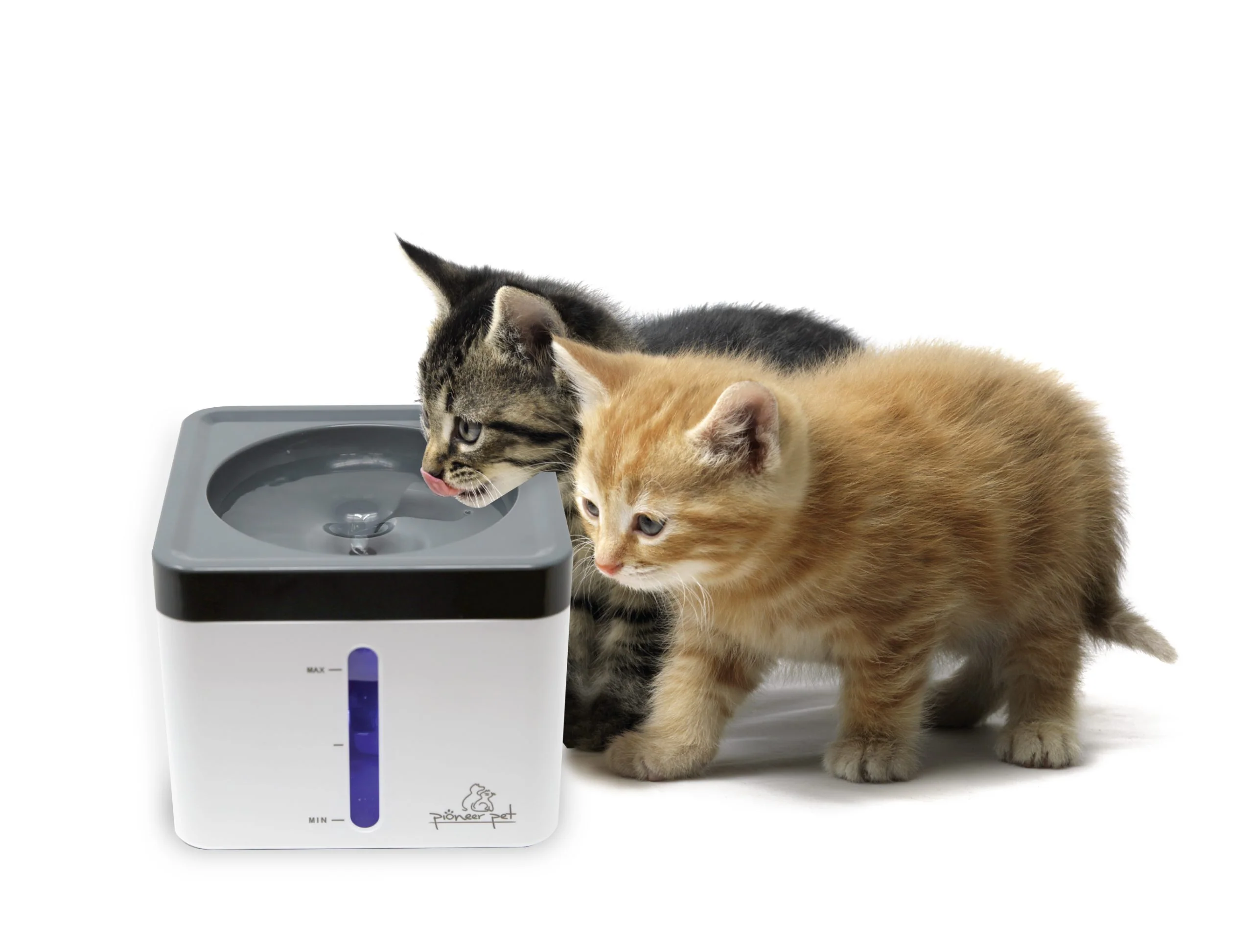 PIONEER MINI VORTEX DRINK FOUTAIN - Budpants