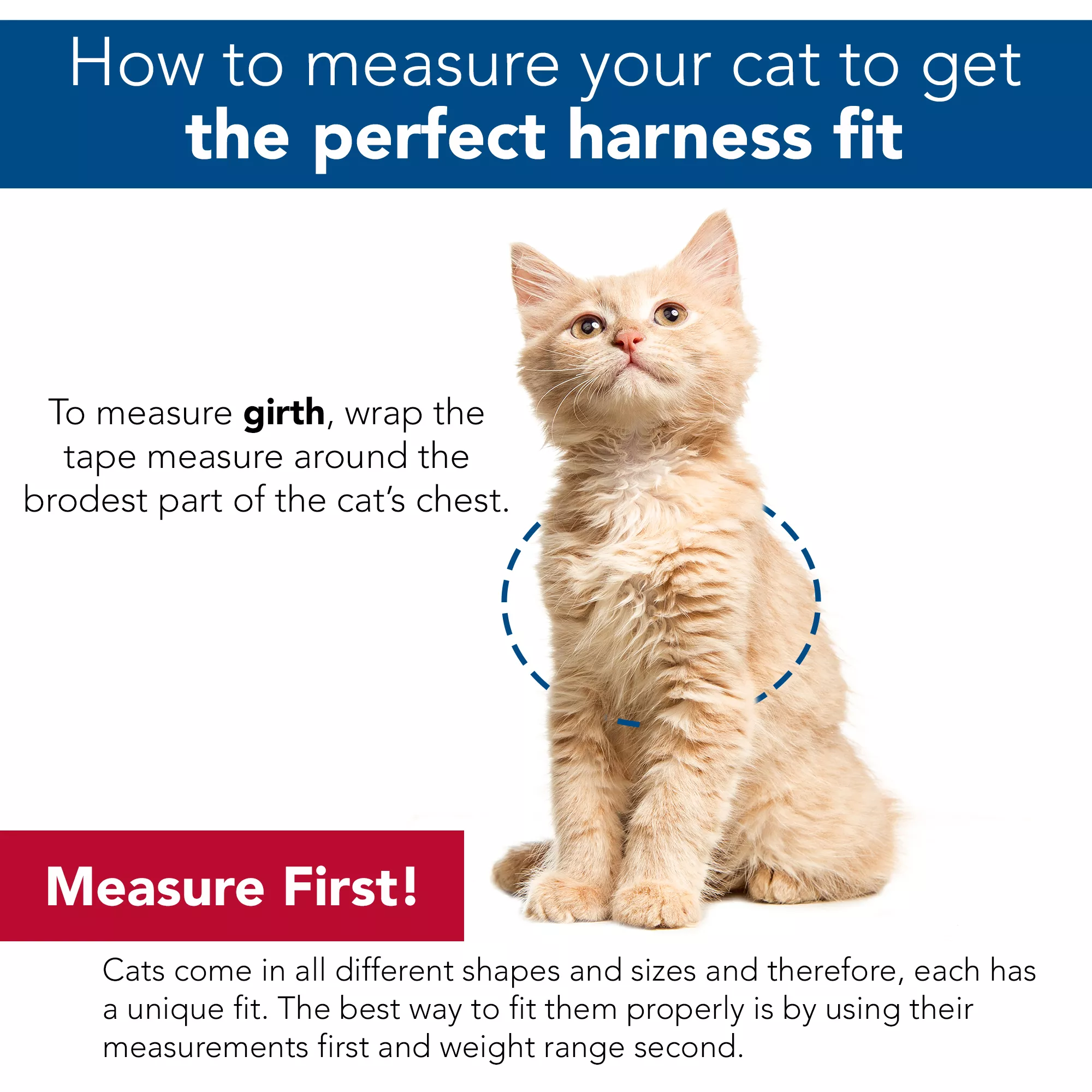 COASTAL Comfort Soft Mesh Adjustable Cat Harness - Budpants