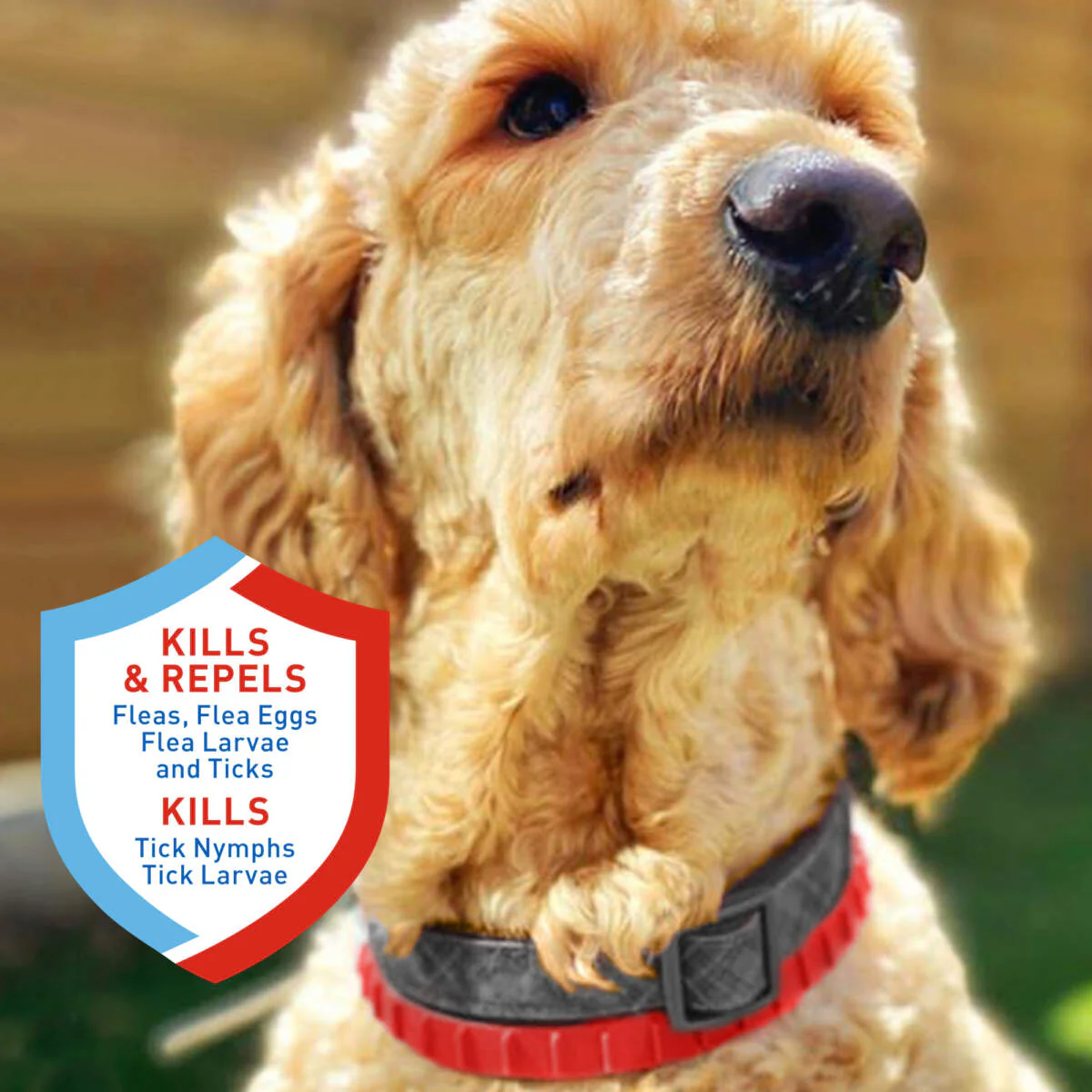 Adams Plus Flea & Tick Collar for Dogs - Budpants