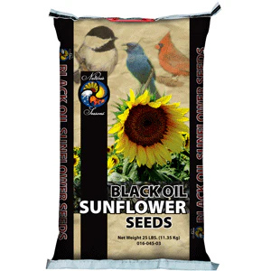 Black Oil Sunflower Seed - Budpants