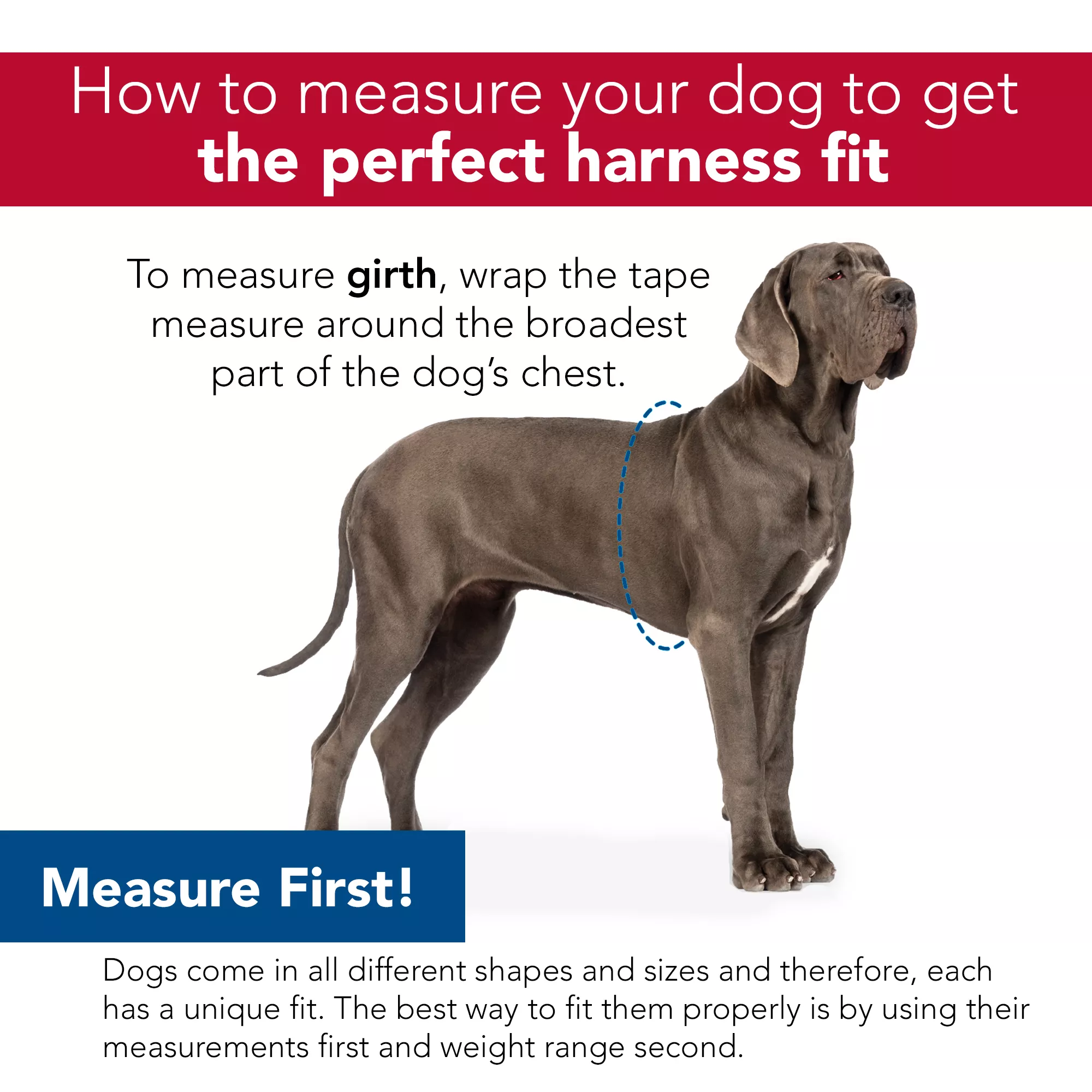 Coastal Comfort Soft Sport Wrap Adjustable Dog Harness Gray with Red - Budpants