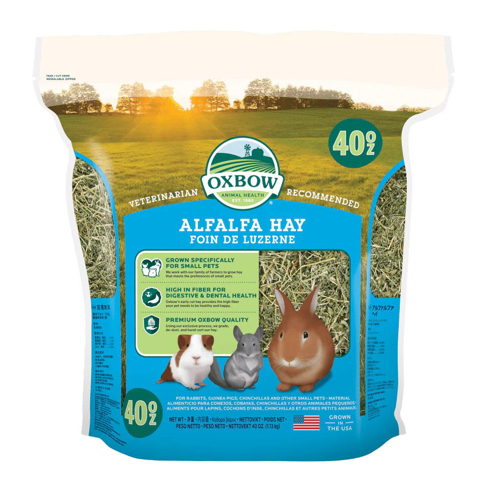 OXBOW Alfalfa Hay - Budpants