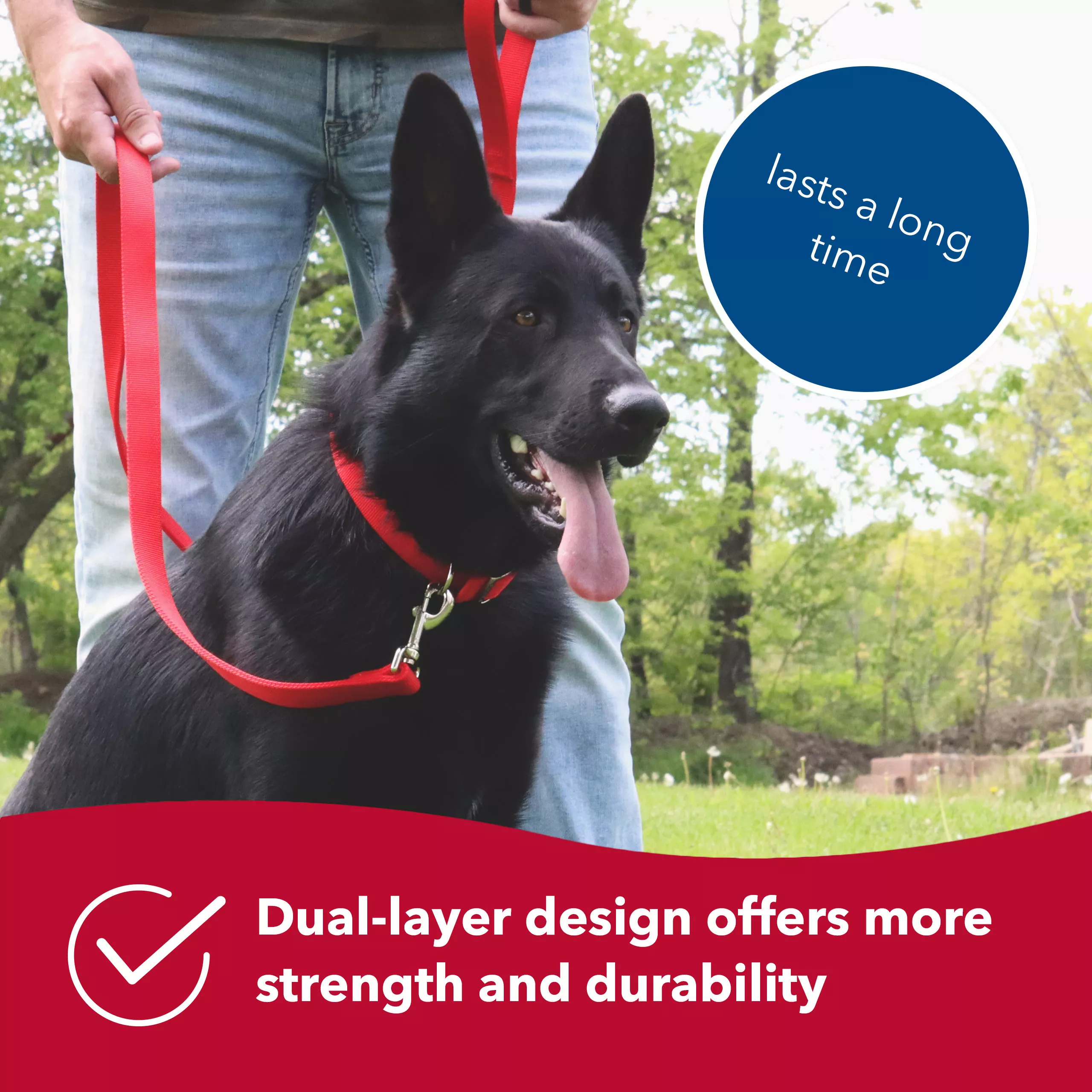 Coastal 1in Double Ply 6ft Dog lead - Budpants