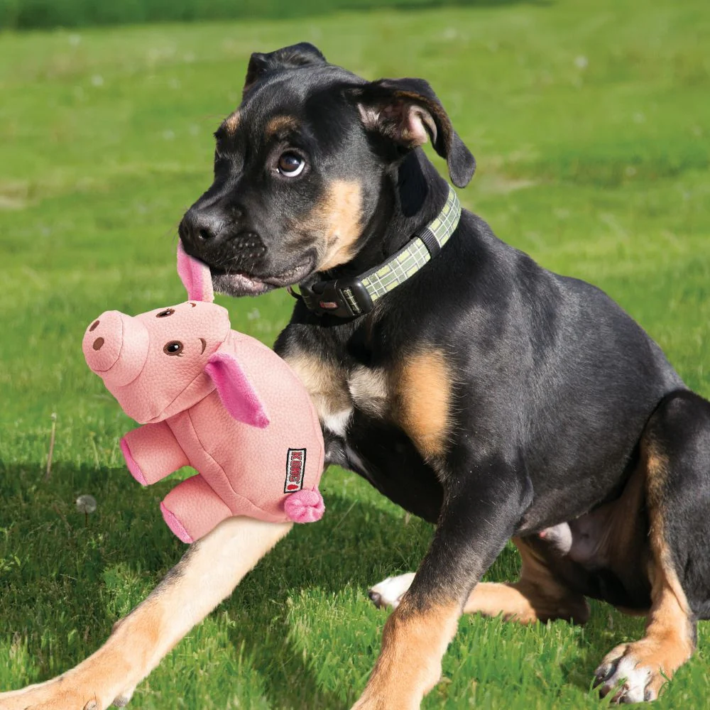KONG Phatz Pig Plush Dog Toy - Budpants