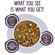 Weruva Steak Frites Dinner with Beef, Pumpkin & Sweet Potatoes in Gravy Grain-Free Canned Dog Food - Budpants
