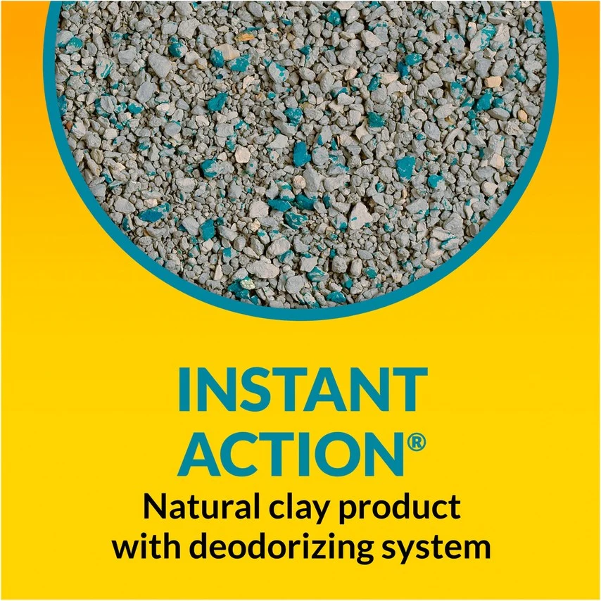 Tidy Cats Non Clumping Instant Action Immediate Odor Control Cat Litter - Budpants