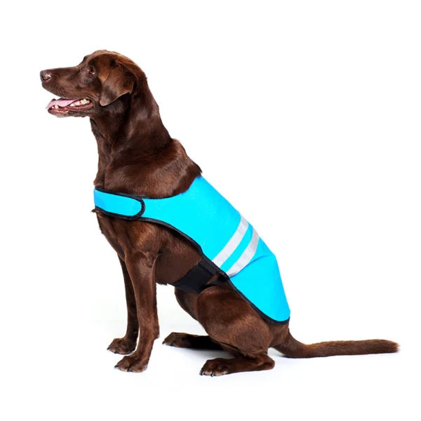 ZippyPaws Adventure Gear Blue Cooling Dog Vest - Budpants