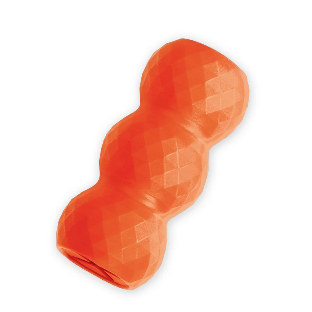 KONG Genius Mike Dog Toy - Budpants
