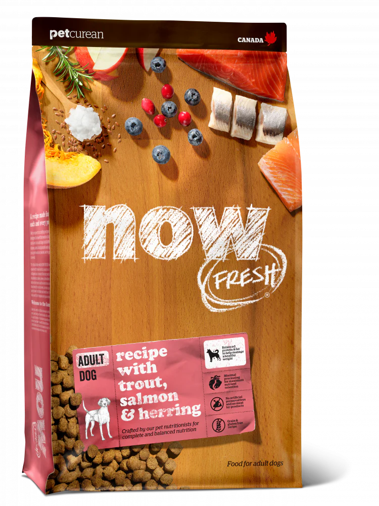 Petcurean Now! Fresh Grain Free Fish Recipe Dry Dog Food - Budpants