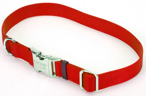 Coastal Pet Products Titan Metal Buckle Adjustable Nylon Medium Dog Collar - Budpants