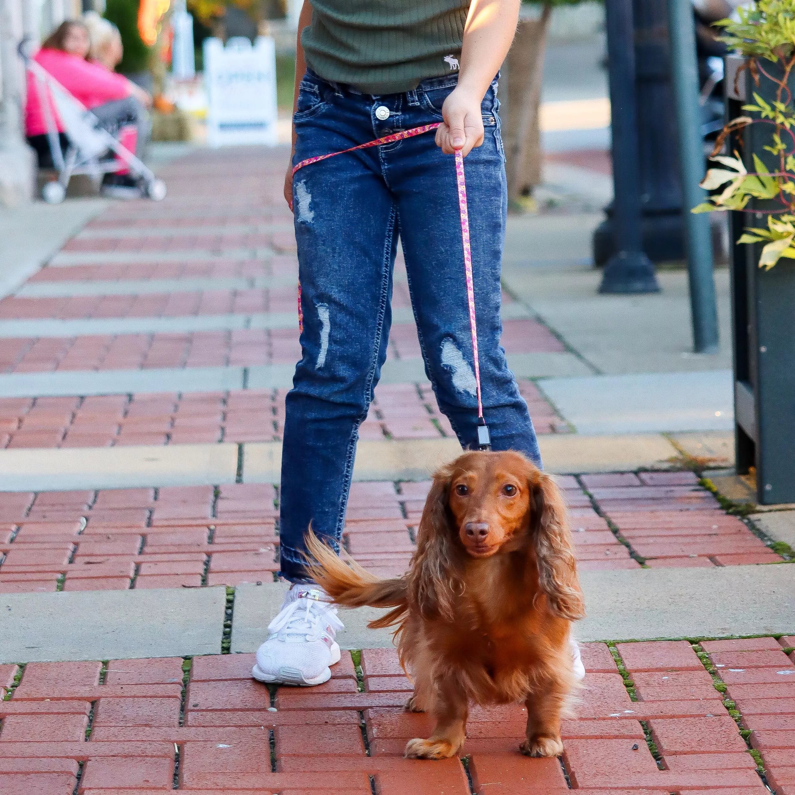 Coastal 5/16 Lil Pals Dog Leashes - Budpants