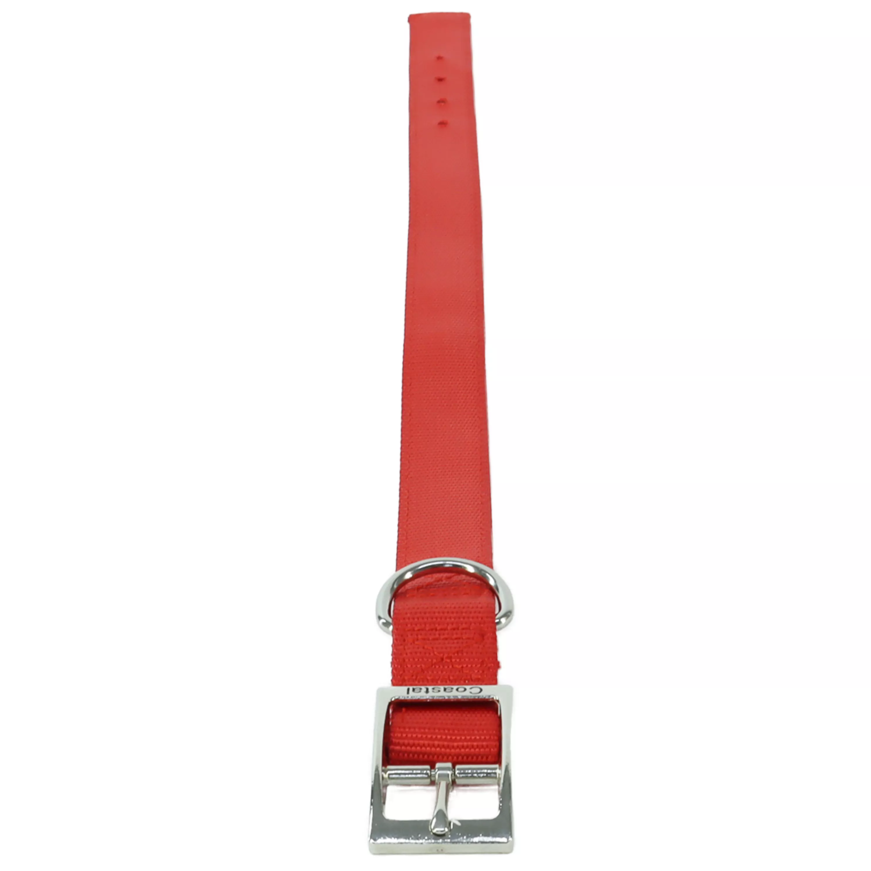 COASTAL 1-in Double Ply Dog Collar - Budpants