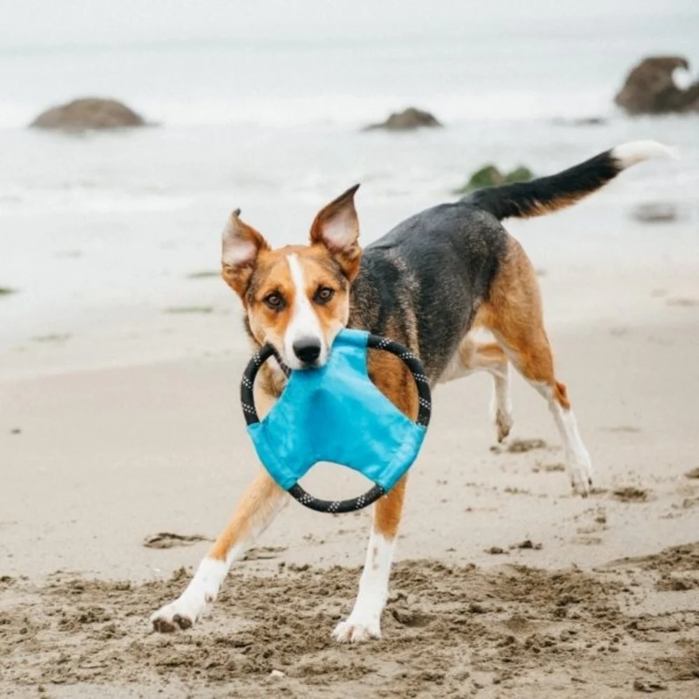 ZippyPaws Rope Gliderz Dog Toy - Budpants