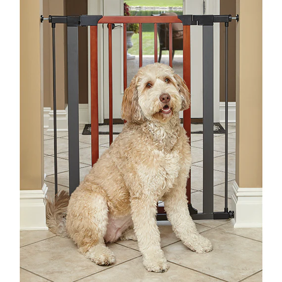 MIDWEST Steel Pet Gate with Graphite and Decorative Wood - Budpants