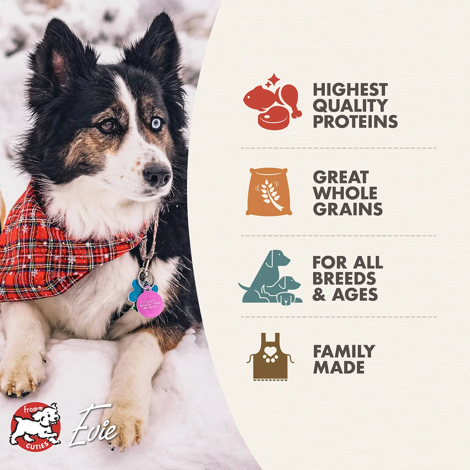 FROMM RANCHEROSA GRAIN FREE DOG FOOD - Budpants