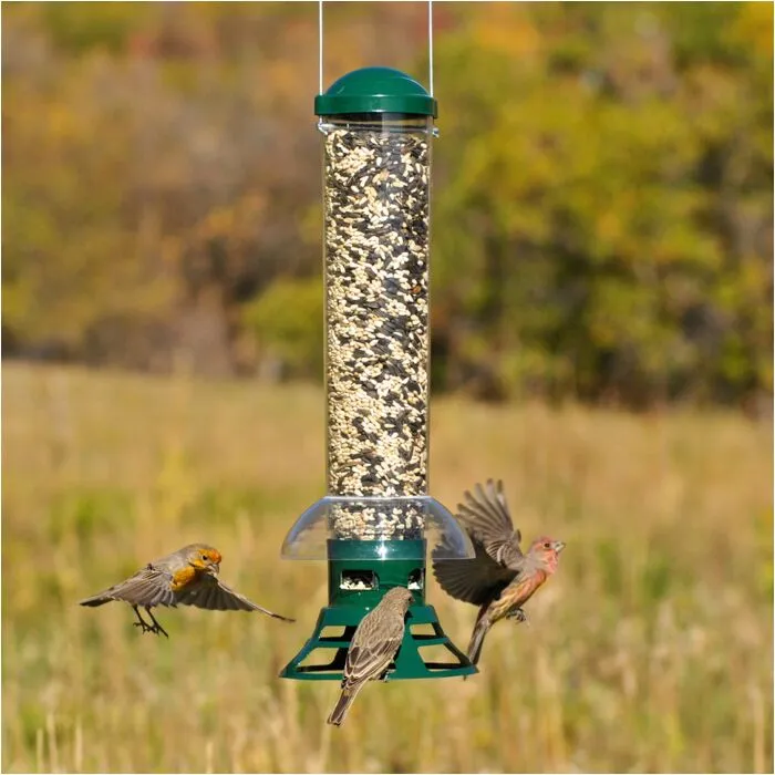 PERKY PET SQUIRREL SLAMMER BIRD FEEDER - Budpants