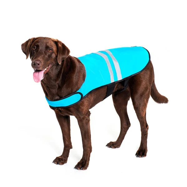 ZippyPaws Adventure Gear Blue Cooling Dog Vest - Budpants
