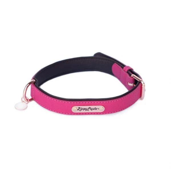 ZippyPaws Vivid Collection Magenta Dog Collar - Budpants