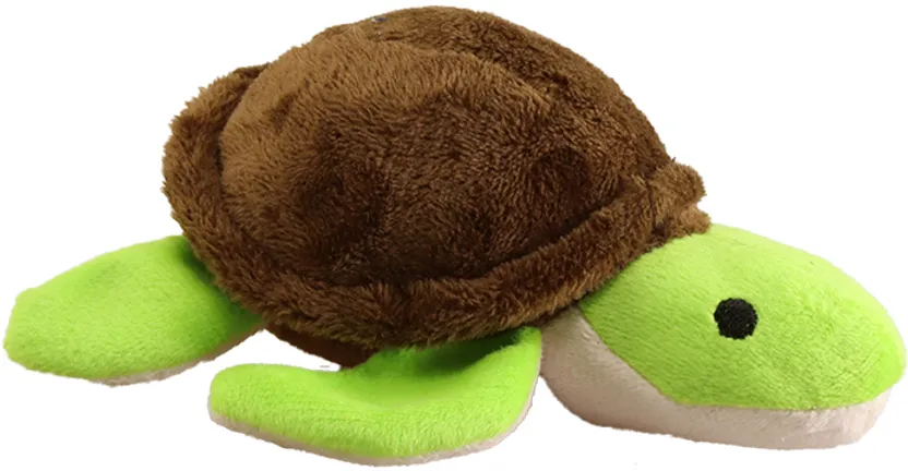 TINY TOTS TINA TURTLE 5