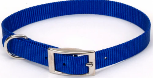 Coastal Pet Products Standard Nylon 3/4in Dog Collars - Budpants