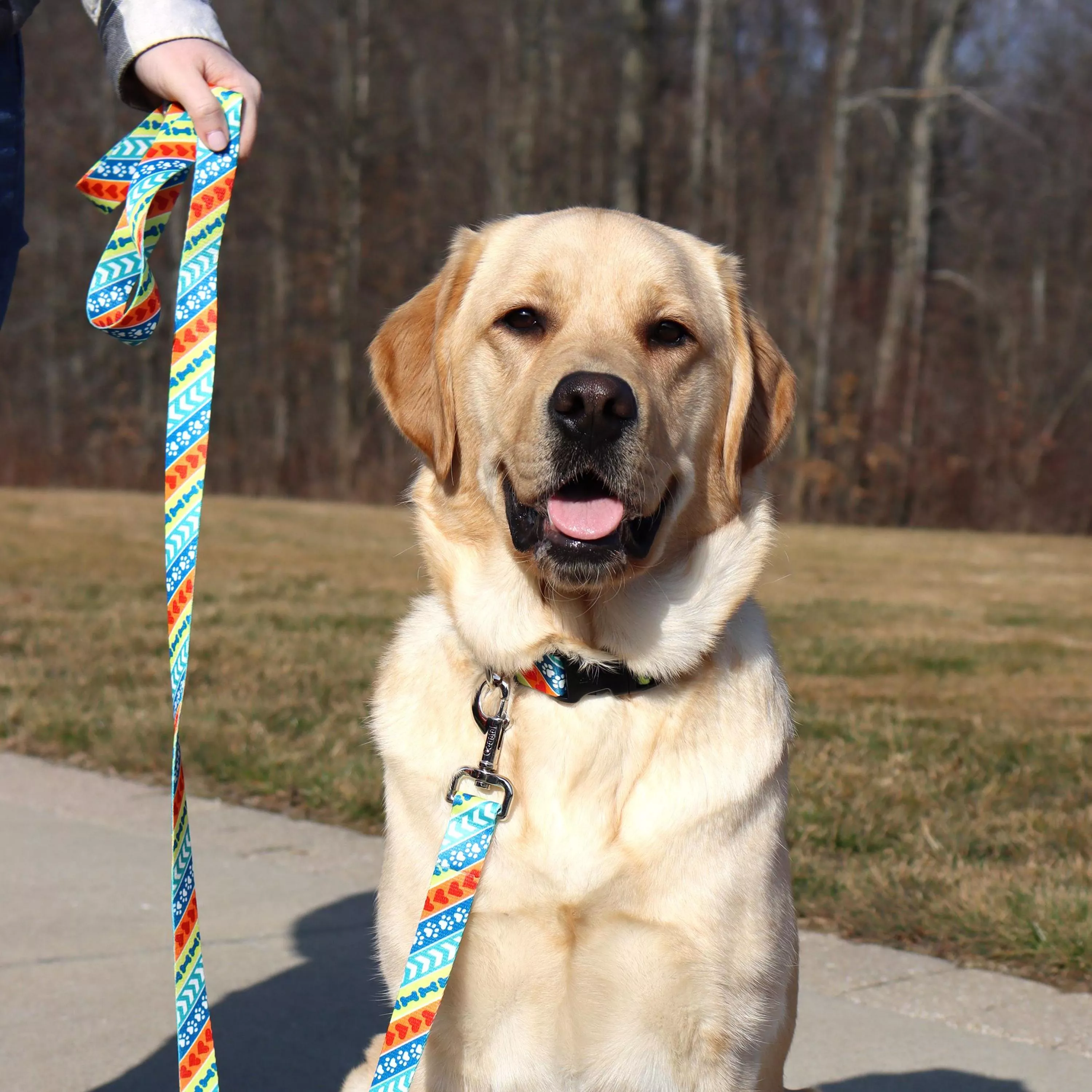 Leader dogs for the Blind Style 6ft Dog Leashes - Budpants