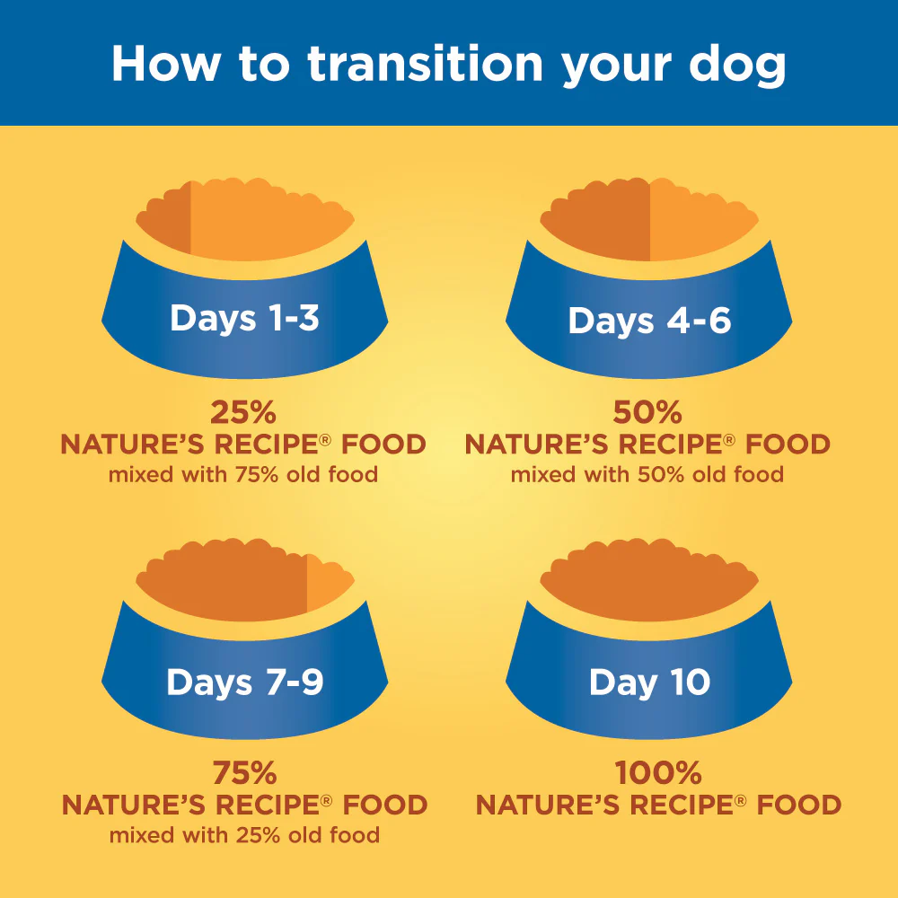 Nature's Recipe Grain-Free Salmon, Sweet Potato & Pumpkin Recipe Dry Dog Food - Budpants
